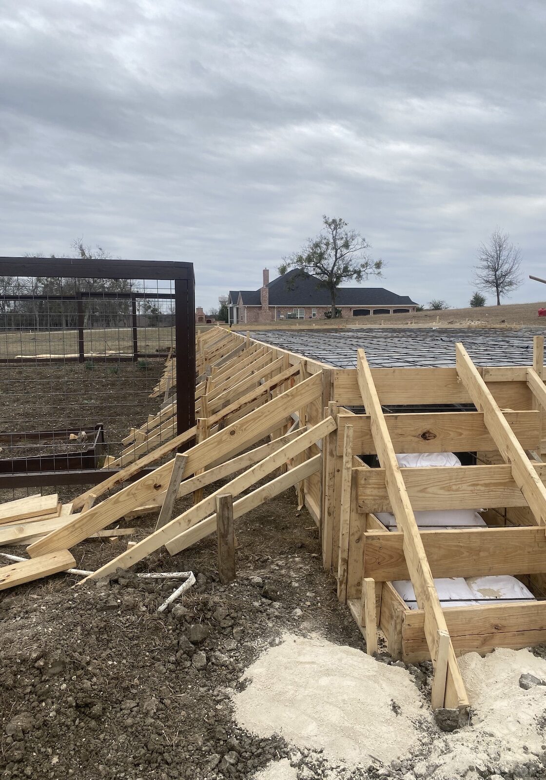 IMG_1475